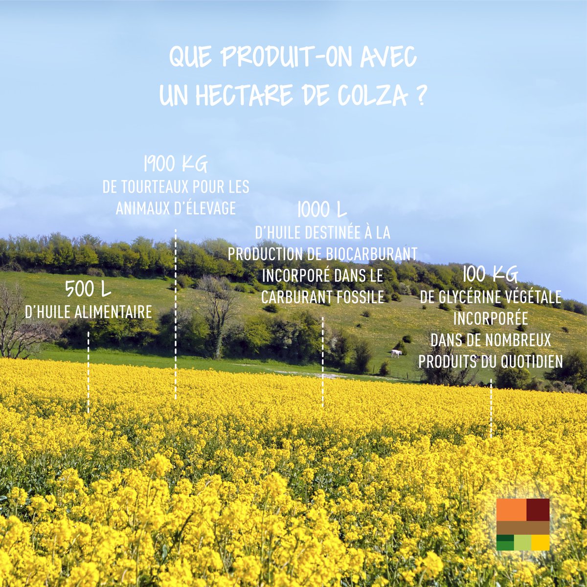 terresoleopro's tweet photo. Le #colza est une chance pour la France ! 4/4
👉 https://t.co/BAbxsSIaAI
#agriculture #francecolza #madeinfrance https://t.co/xsFr3GV67u