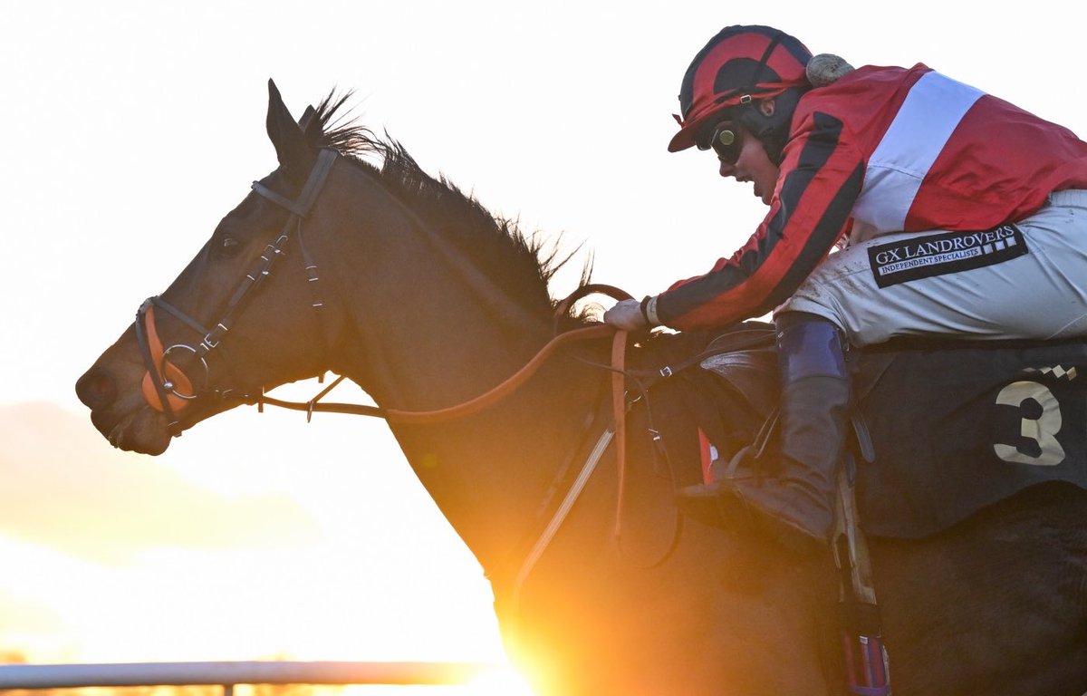 BDR Syndicates tweet media