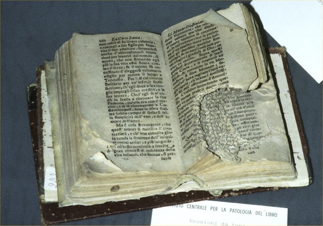MonitorPestCo's tweet photo. The lengths that The British Library go to in order to avoid pests damaging their library is impressive, such as placing items in a freezer at -25°C for a month! https://t.co/1eIEWg30EY 

#pestcontrol #pestplan #pestcontrolplan #pest #infestation https://t.co/ePXQFKLmAR