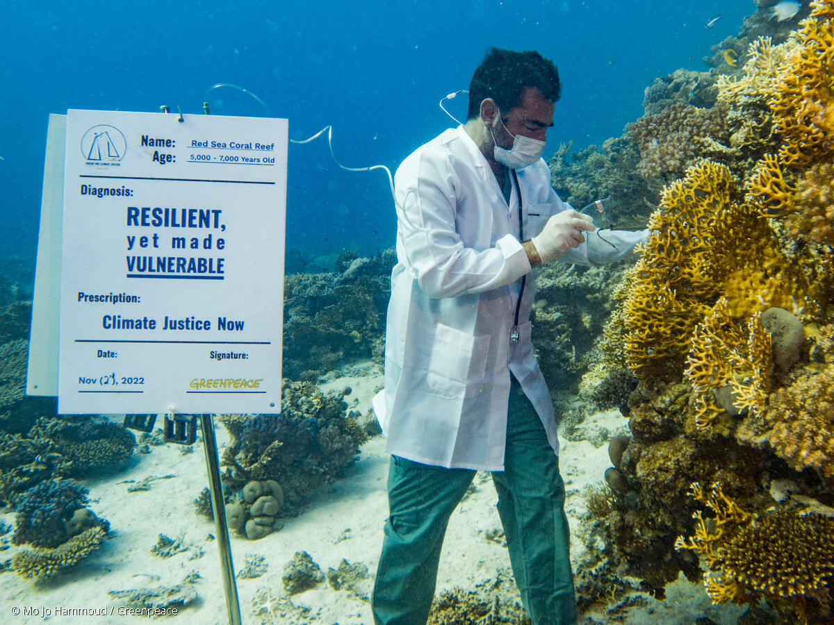 Did you know that Red Sea corals are 5000–7000 years old?

14% of the world's coral reefs were lost in less than a decade and these are also under siege: the Middle East and North Africa region is warming at twice the global average.

#ClimateCrisis

bit.ly/3gZXgnw