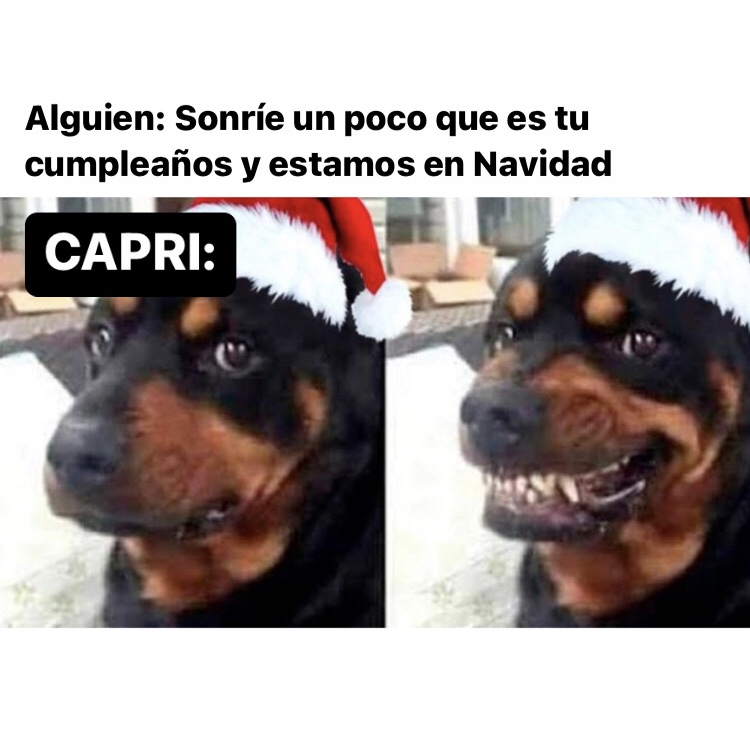 capricornio_hn's tweet photo. 🤣🤣🤣 #capricornio #horoscoponegro https://t.co/XGgelsluD1