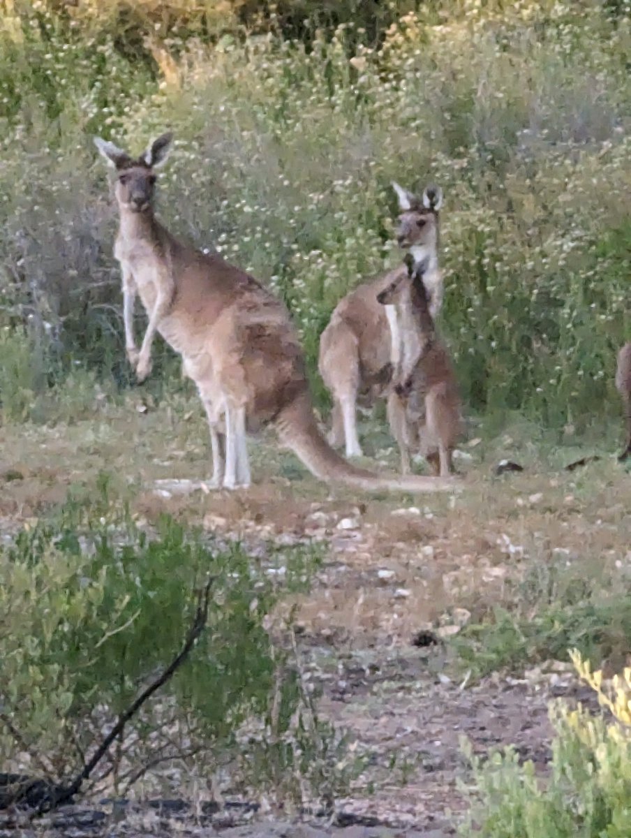 Just some faces in the mob. On the way back from dinner tonight.