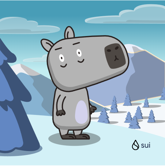 Michell27879699's tweet photo. 🎁 I just unboxed my Sui Holiday Capy! ❄️
Create your own Capy here:  https://t.co/UoMjEqhSi4 #CapyHolidays https://t.co/iNB6GHOnDS