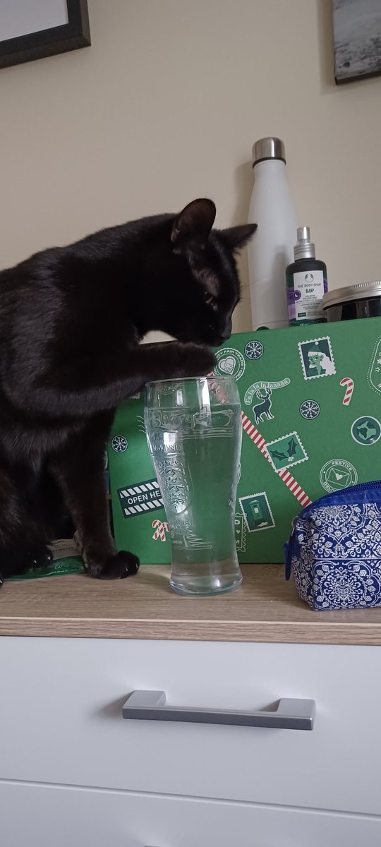 LifeastheGinge1's tweet photo. He has a water bowl, water fountain and the bathroom sink is filled with water, so why for the love of god does he want to drink my water!!! #nuttercat https://t.co/cWy8udiepK