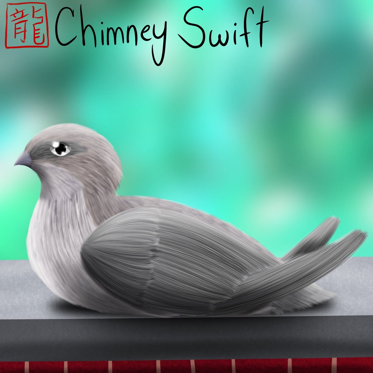 ryuuliskart's tweet photo. DecemBird Day 28: Chimney Swift
#Procreate #procreateart #digitalart #DigitalArtist #DecemBird2022 #decembird #december #bird #ChimneySwift https://t.co/RCHTItD512