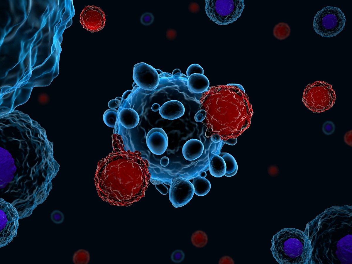 NewsMedical's tweet photo. Exploring T cell responses during COVID-19 breakthrough infection https://t.co/E9glPkDj2r @biorxivpreprint @UniMelb #COVID19 #SARSCoV2 #Infection #BreakthroughInfection #TCellResponse https://t.co/p1QSwOrdG7