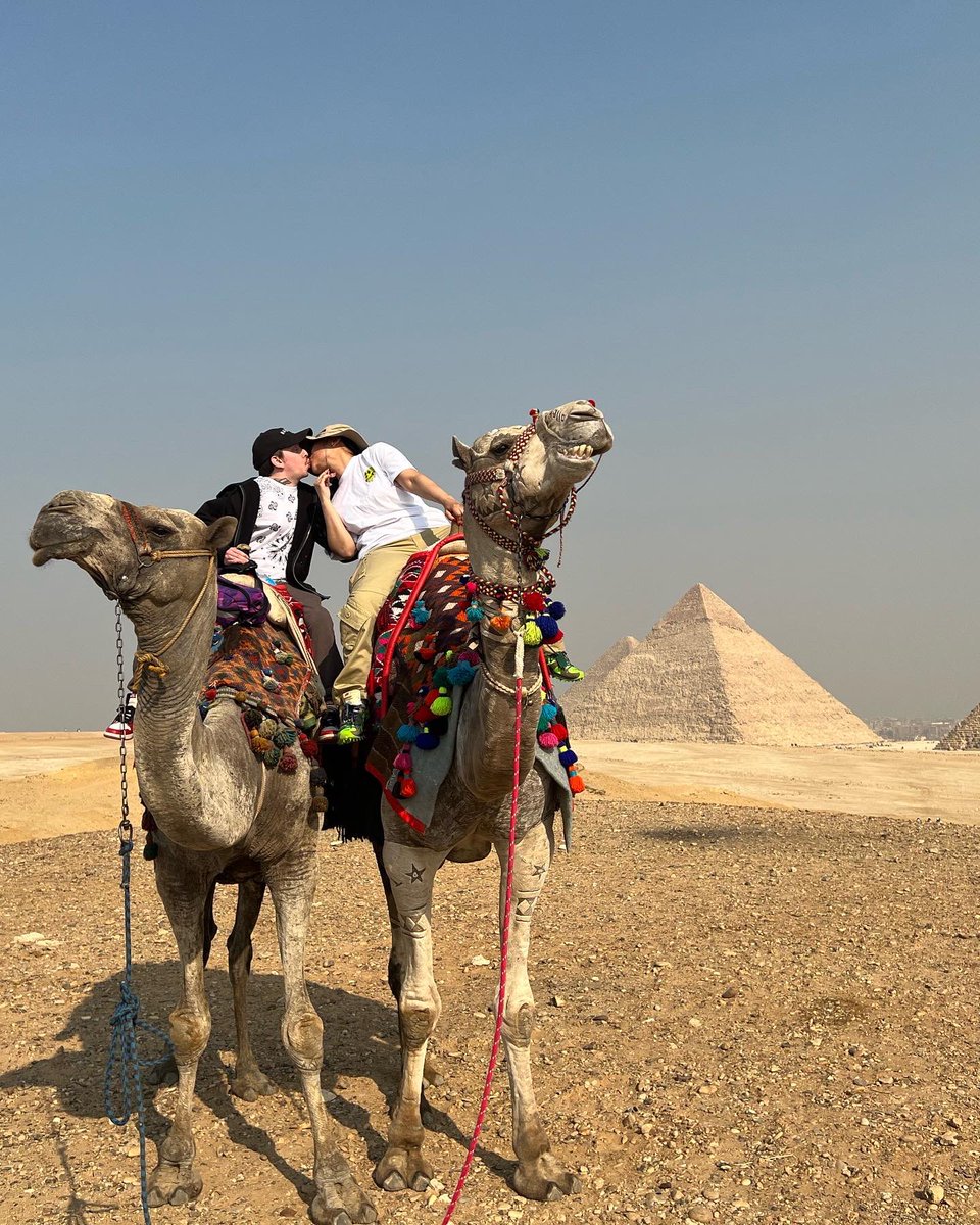 franalations.eth tweet media