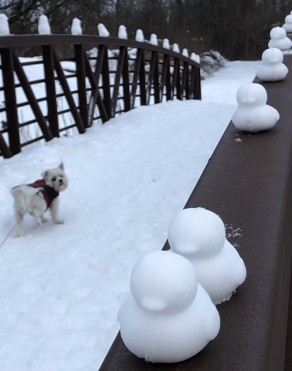 WayneNgWrites's tweet photo. ❄️Shiloh discovers snow penguins🐧and ducks🐥on the bridge❄️
@NCC_CCN #winterfun #snow #BrucePit https://t.co/qax1deBwYS