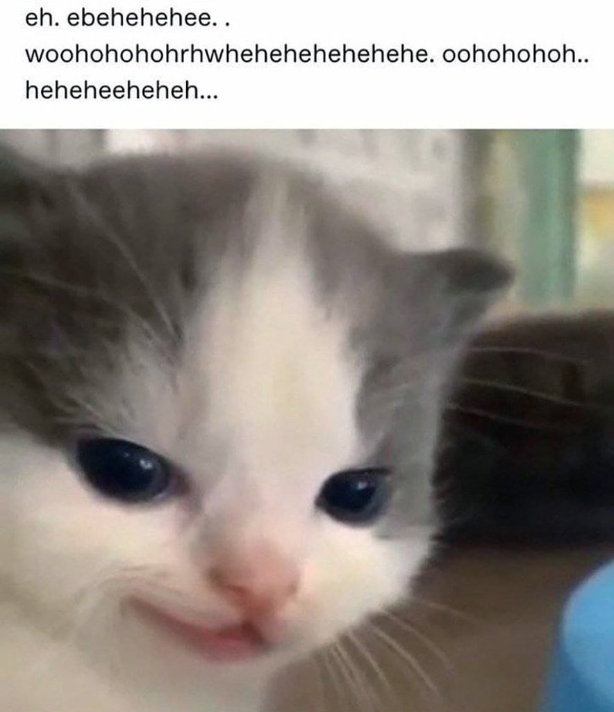 parfaitrine's tweet photo. he's so annoying 😭😭😭 https://t.co/qJ4T8FXlcA