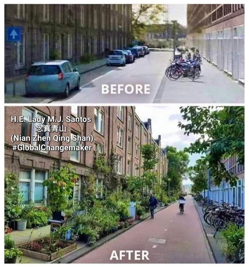Same street. 6 years apart.

We need more of this, #NewEra #PEACEWARRIORS. 

#GlobalChangemaker #organic #environment #agroecology #ecology #transformation
