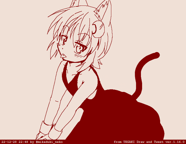 三日月ネコ「普通に女の子の恰好するのもいいだろ?」 #tegaki_dt 