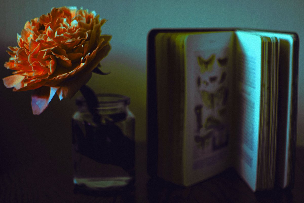 Purple Orchid Publishing tweet media