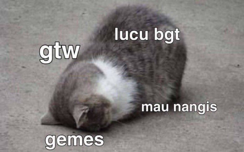 SugiAstrea's tweet photo. @panggilmociaja Apaka km mau jd pacarku.. 😭😭😌😌 https://t.co/togVyYSfRN