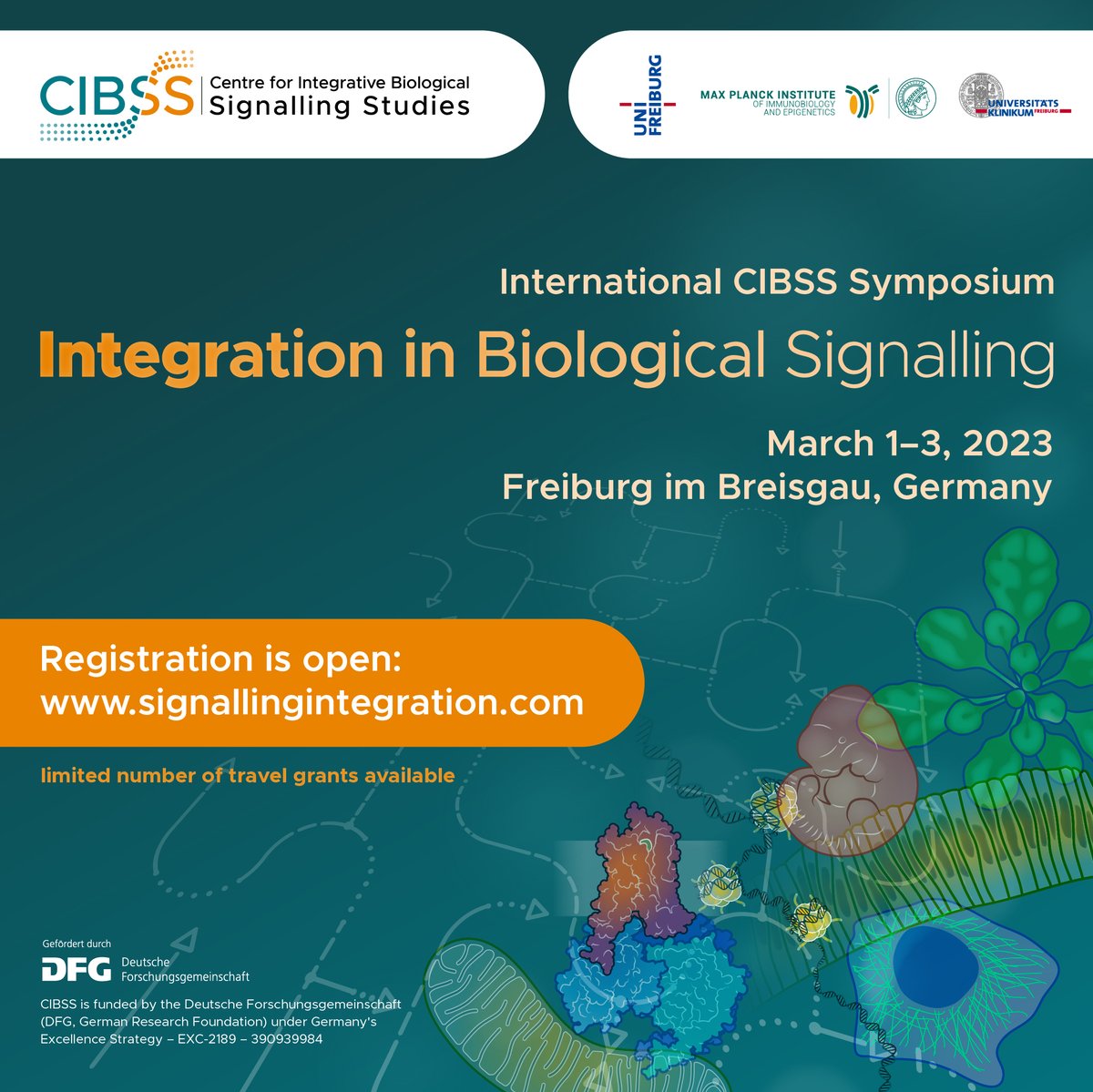CIBSS_UniFR's tweet image. Will we see you in Freiburg next year? Registration for the 2023 #CIBSS Symposium &quot;Integration in Biological Signalling&quot; is open until Jan 31. Deadline for abstract submission and travel grant application is Jan 15. 
➡️signallingintegration.com
 #SignallingIntegration2023
