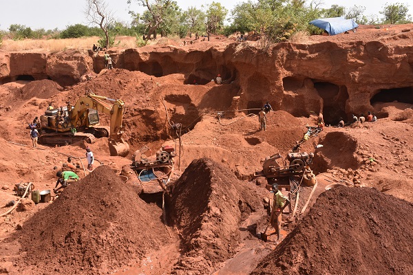 TiladoAbga's tweet photo. Dans le Centre-ouest et le Centre-sud du #Burkina , une équipe de chercheurs utilisent "une plante miracle'' pour dépolluer les sols et les eaux contaminés par des métaux lourds tels que le cyanure utilisé dans les sites d'orpaillage. Cliquez sur le lien https://t.co/DbIHxroWVQ https://t.co/atZfGnLDvJ
