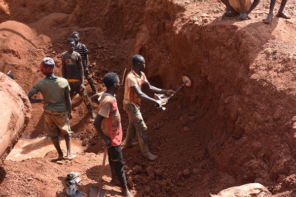 TiladoAbga's tweet photo. Dans le Centre-ouest et le Centre-sud du #Burkina , une équipe de chercheurs utilisent "une plante miracle'' pour dépolluer les sols et les eaux contaminés par des métaux lourds tels que le cyanure utilisé dans les sites d'orpaillage. Cliquez sur le lien https://t.co/DbIHxroWVQ https://t.co/atZfGnLDvJ