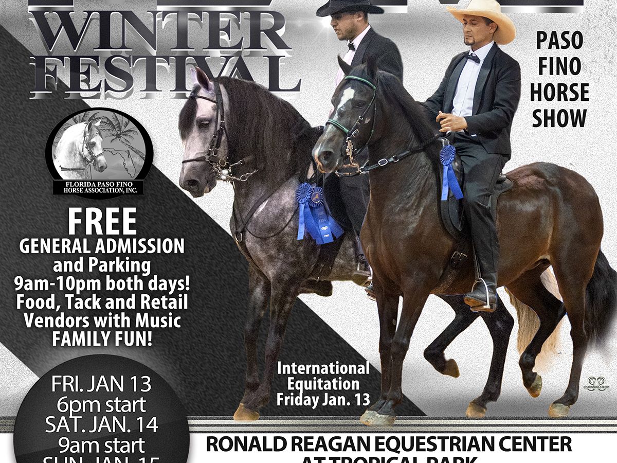 FloridaPasoFino's tweet photo. Are you ready for the Miami Winter Fest?🐴 - https://t.co/SxLJ0M7Rbn https://t.co/h8V2QL0bAM
