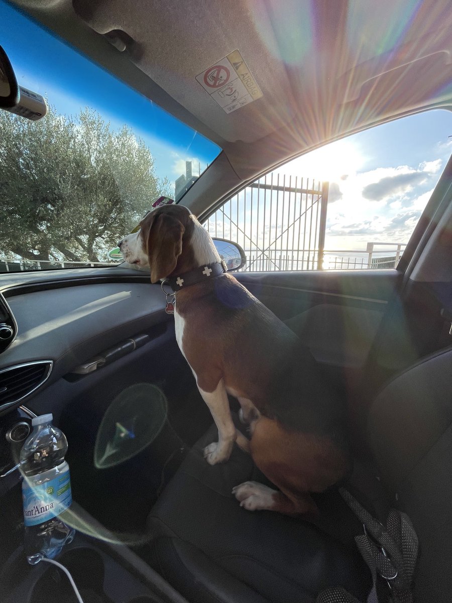 Mit dem richtigen Copiloten kommt man immer ans Ziel