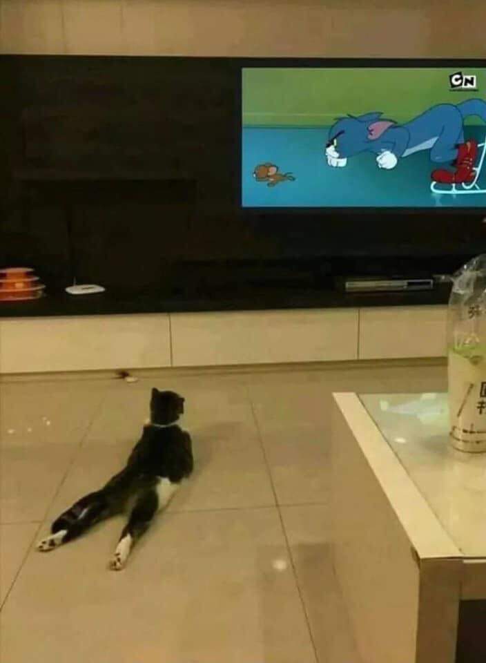 Christi94539879's tweet photo. 👇😹😹😹 https://t.co/2ywldyaKZv