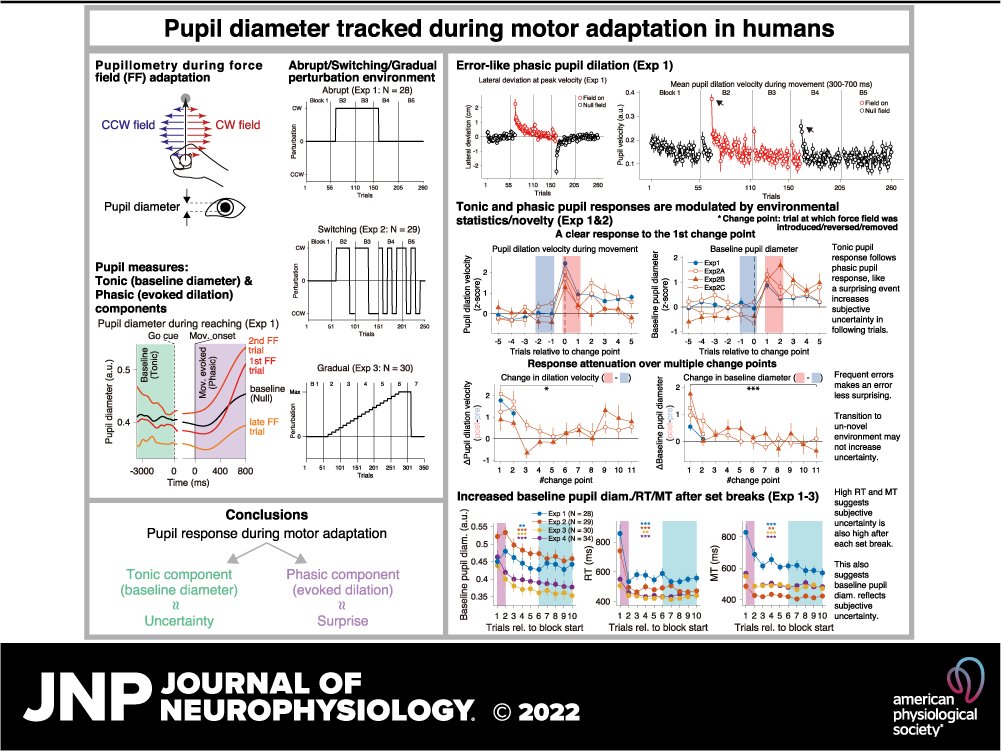 JNeurophysiol's tweet photo. 🔓#OpenAccess 🔓
👀Pupil diameter tracked during motor adaptation in humans by Atsushi Yokoi & Jeffrey Weiler
https://t.co/0a0FSv1TFn
@ayokoi_exp @Jeff_Weiler #reaching #MotorLearning #ForceField #PupilDilation #JNeurophysiol https://t.co/0Qz8jZzqp0