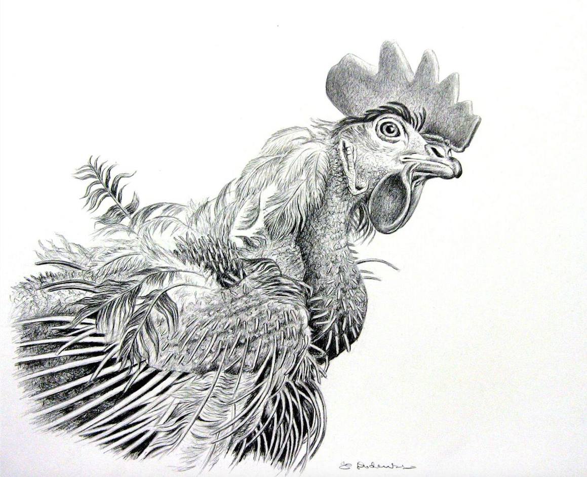 VeganFallacy's tweet photo. Jo Frederiks (https://t.co/zbqurYwwEY) is an amazing artist. They write about this piece: 

---

"A little hen. Picture her. She’s sentient, she’s unique; her mind thinks complex thoughts, she knows so many things, but has never known freedom...."

(1/10) https://t.co/tAcFnRlnlf