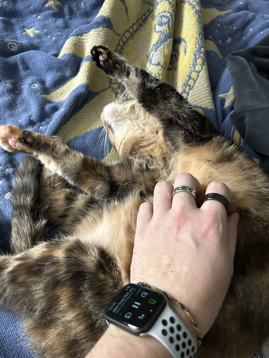 crtrkng13's tweet photo. Cats are the best thing to happen to humans https://t.co/rYwRoyiUPP