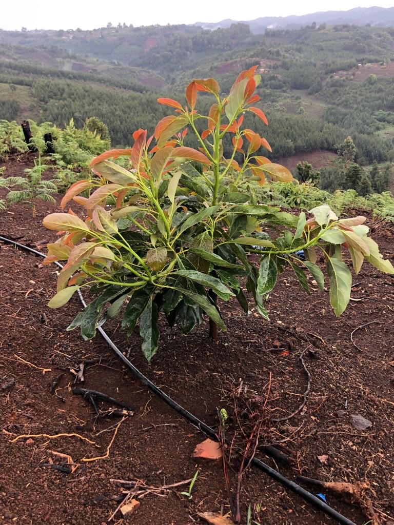 Thinking the future today