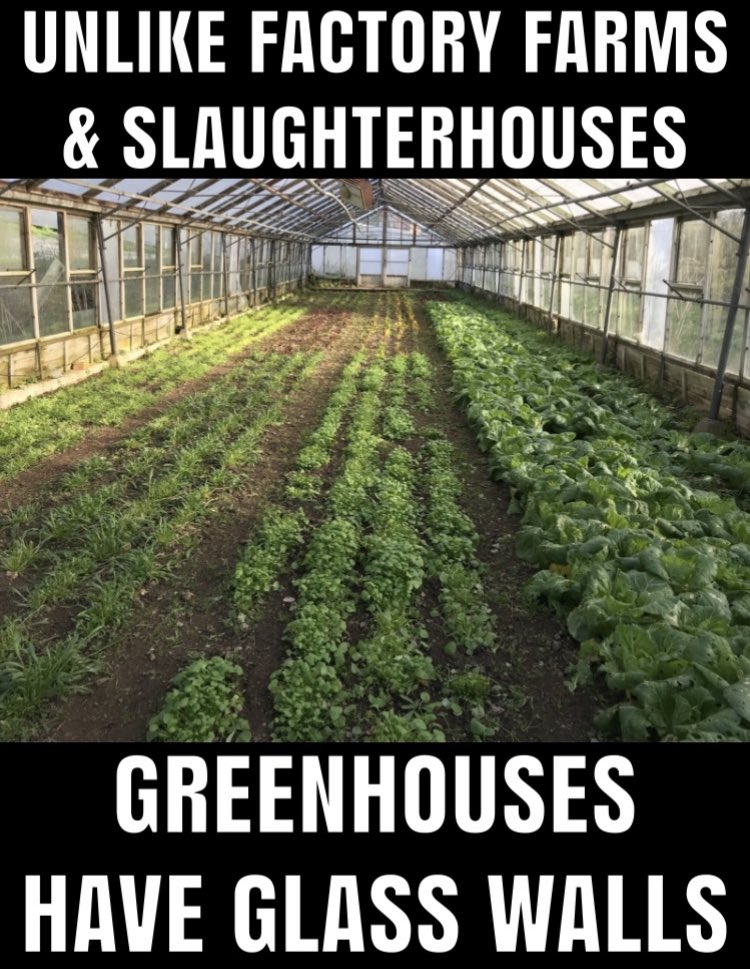 #Veganuary #Veganuary2023