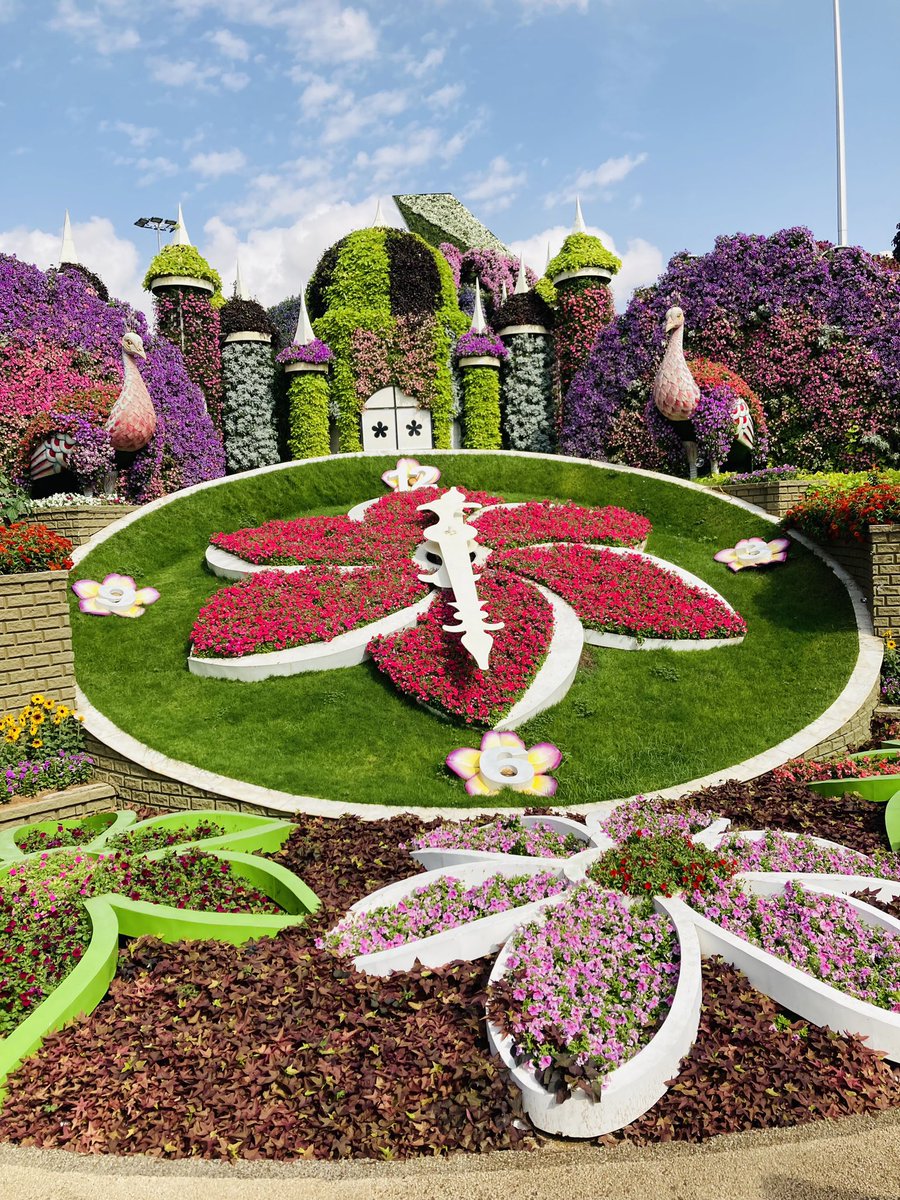 ChadhaMonisha's tweet photo. Visited the Miracle garden In Dubai - the world's largest natural flower garden…great experience #dubai #nature https://t.co/6Z6sma6vvy