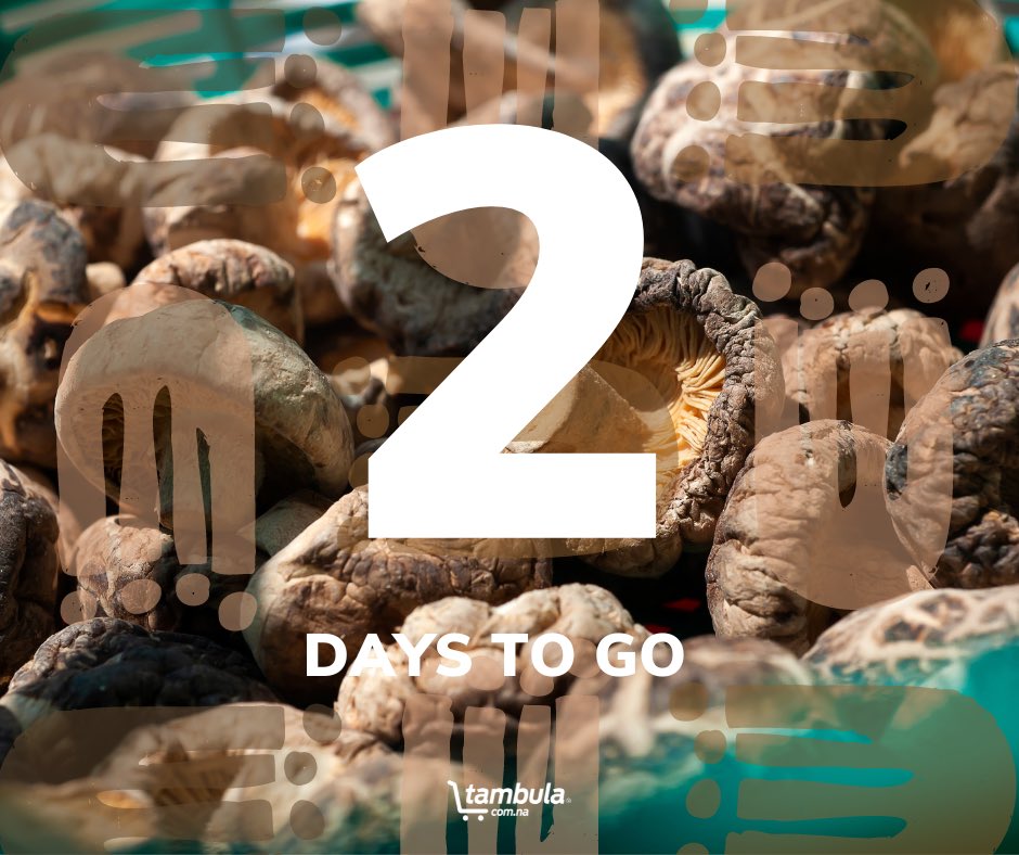 We’ve got a few more days to go, but stay tuned for what’s coming! 🔥

#NamibianByHandAndHeart