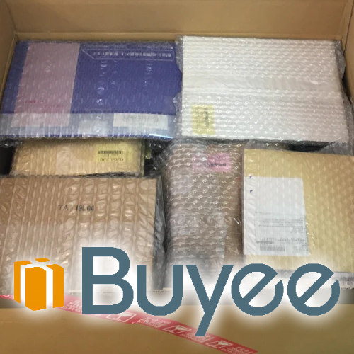 Japan's Proxy Bidding & Shopping Service - Buyee