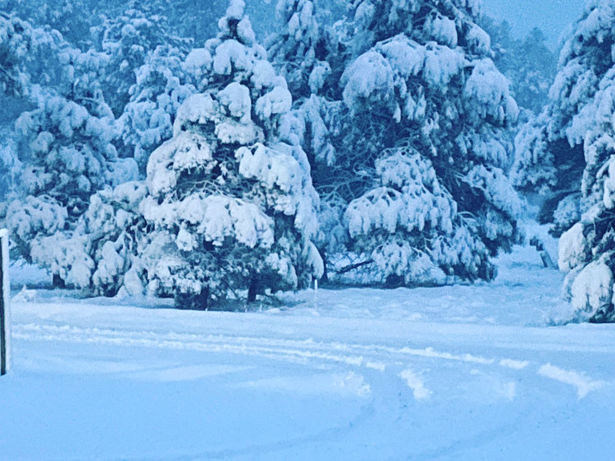 thumpher1234's tweet photo. Flagstaff snow @FOX10Phoenix https://t.co/GO500jUHxW