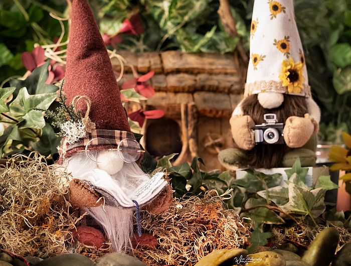 December 27:
Gnome I
wisephotographyforyou.wordpress.com
#gnome #gnomes #books #bookworm #bookgnome #photographergnome #gnomescene #gnomeworld #gnomesweetgnome #gnomelife #gnomelove #gnomehome #gnomefortheholidays #gnomegarden #gnomesoftwitter #agnomeoftwitter