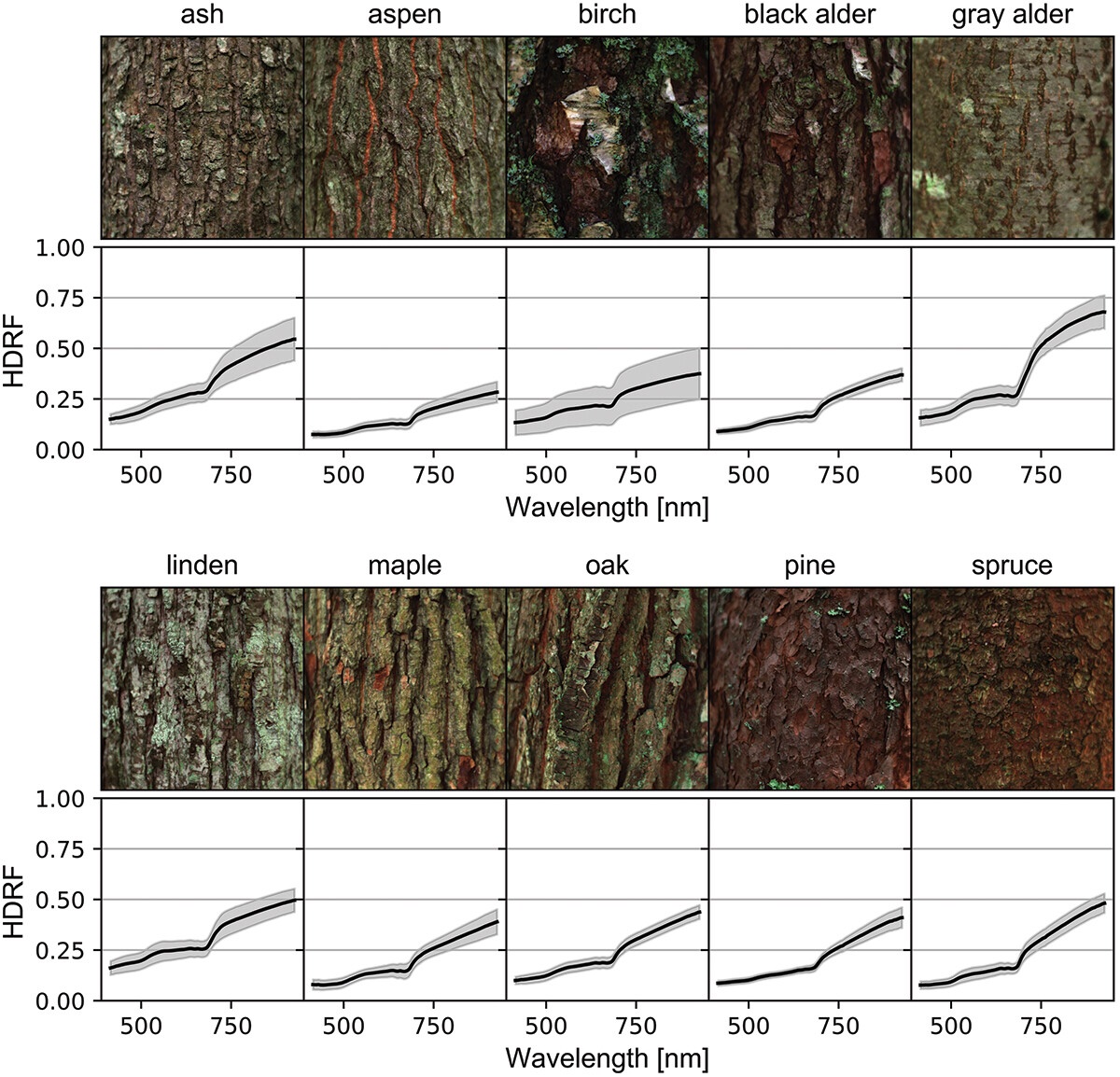 Miina Rautiainen (@miinaraut) on Twitter photo 📣 Our new paper is out! Classification of tree species based on hyperspectral reflectance images of stem bark, by Juola et al. <a href="/AaltoUniversity/">Aalto University</a> tandfonline.com/doi/full/10.10… 📣 Our new paper is out! Classification of tree species based on hyperspectral reflectance images of stem bark, by Juola et al. <a href="/AaltoUniversity/">Aalto University</a> tandfonline.com/doi/full/10.10…