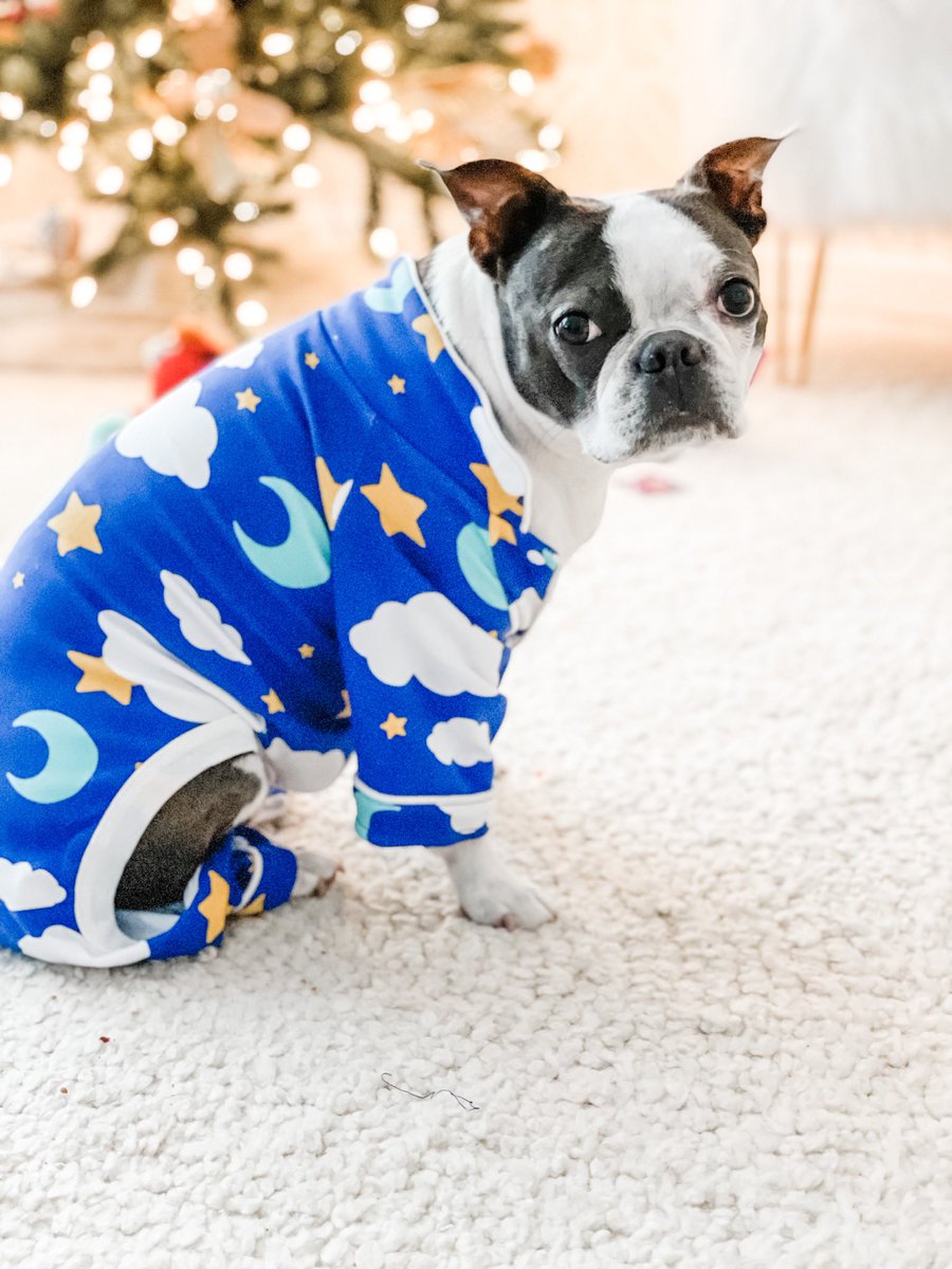 BostonZeezee's tweet photo. It’s a loungewear type of week #pjs #bostonterrier #dogsoftwitter https://t.co/erqMLpS055
