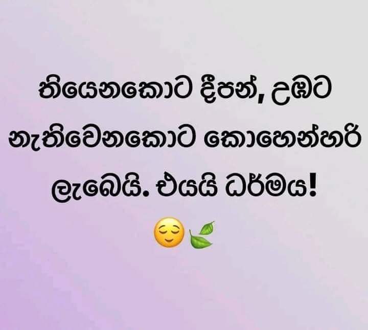 හා.සේ නුවර හාමු tweet media