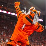 Photo by The Tiger (@TheTiger_CU)