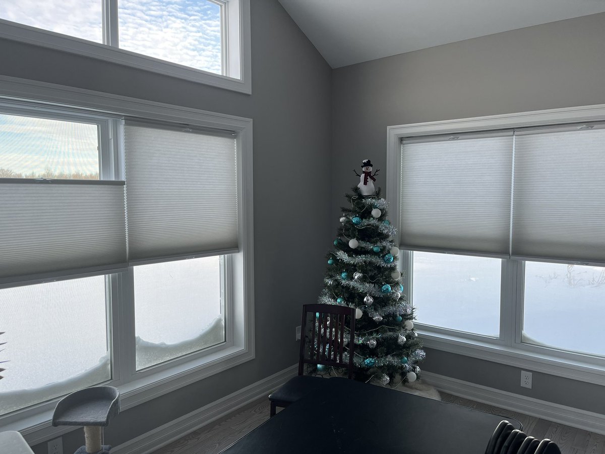 #blindswelove <a href="/Select_Blinds/">SelectBlinds</a> seriously everyone, you have got to go with select blinds. I had a local big name company come and quote me out more than double what it costed to get such amazing quality blinds from select blinds. Worth every penny. And theyre so simple to install!