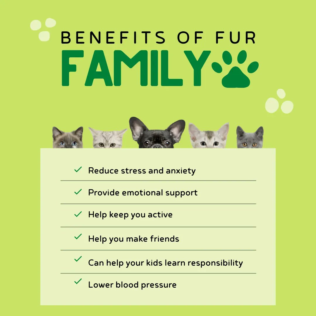 FRFoodCoop's tweet photo. We carry an assortment of pet supplies for your fur family, such as;  stress reduction supplements, shampoos, treats, and more. #ShopYourCoop #FRFC https://t.co/1laEt6o9ke