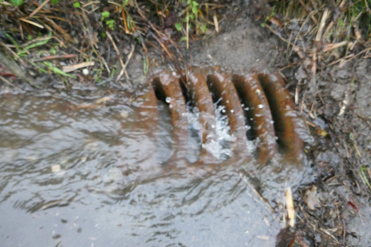 TheLengthsman's tweet photo. Clearing more #drains higher up ~ can you see someone (not me) has put this drain cover in the wrong way ~ It's not going down the curve ~ It's going against it !
#wrongwayround https://t.co/p2T0uosY8F
