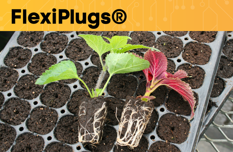 QuickPlugGlobal's tweet image. The FlexiPlug resists compression, providing a healthy, aerated environment for roots to thrive. Even when wet, it's absorption properties prevent it from becoming compacted. bit.ly/3EDf0yu