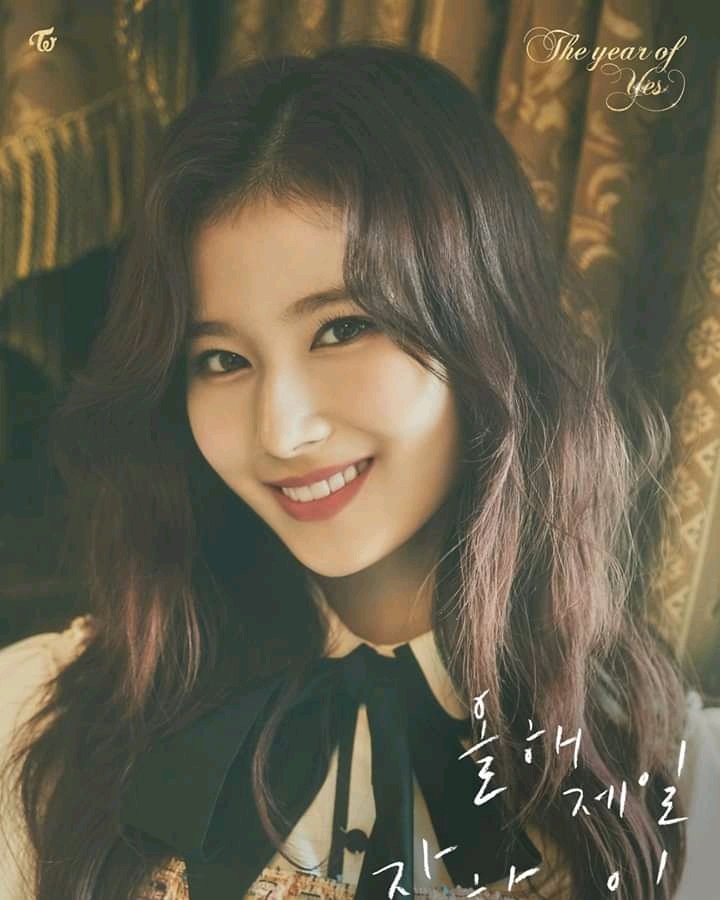 HAPPY SANA DAY
#겨울에_태어난_원스들의_샛별이
#AlwaysHereForSana
<a href="/JYPETWICE/">TWICE</a>