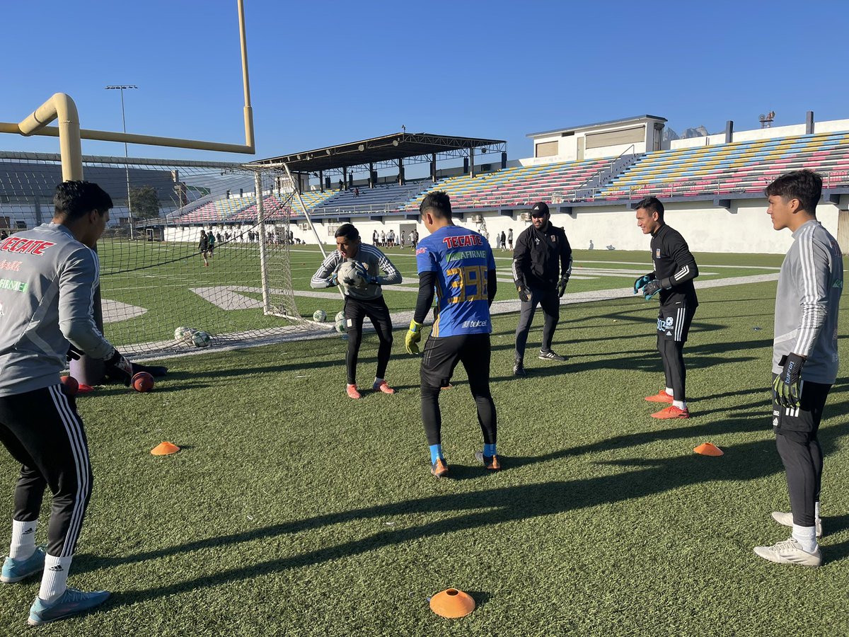 ClubTigresFB's tweet photo. ¡Afilando las garras! Ya estamos en el Estadio Nuevo León Unido preparándonos para nuestro partido de la Jornada 1 ante @ClubSantos 🐯 https://t.co/rvuIO9N8RT