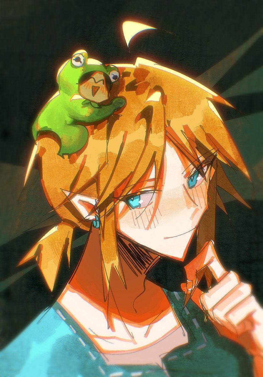 #botw link for a friend fr memory hsfnwvjwdv