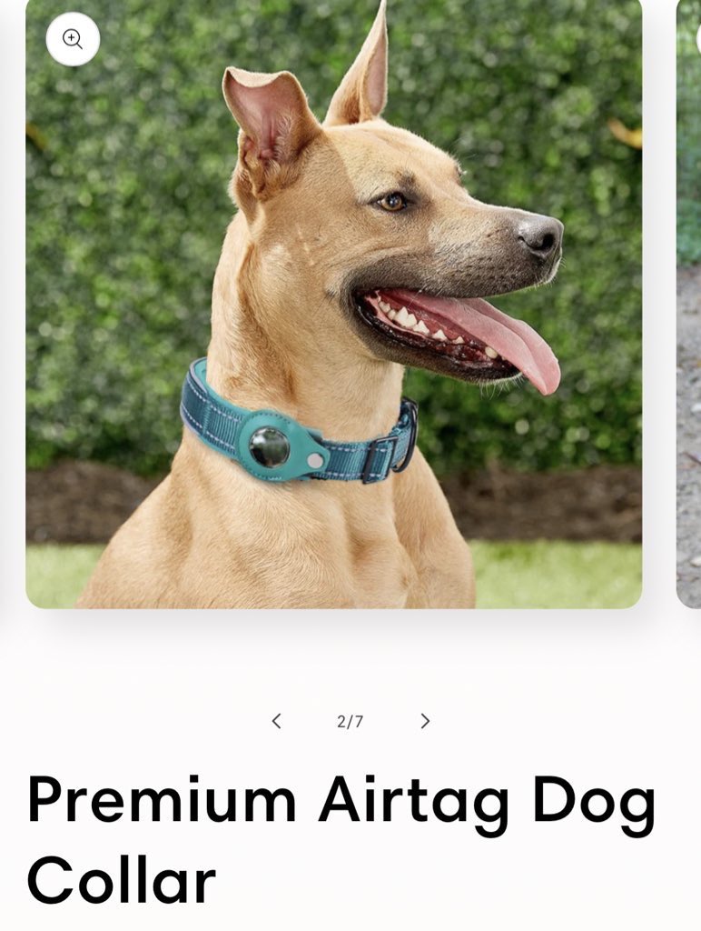 WPL (subscribe on YouTube) tweet media