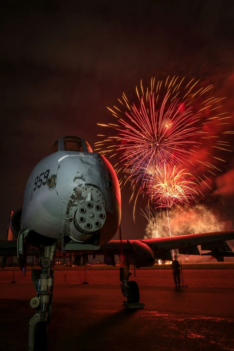 kchawg987's tweet image. What impact will you make in the New Year?!
#WarthogWednesday