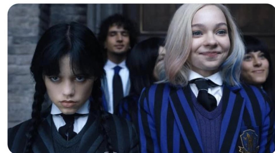 Michelle Starr MD MPH tweet media