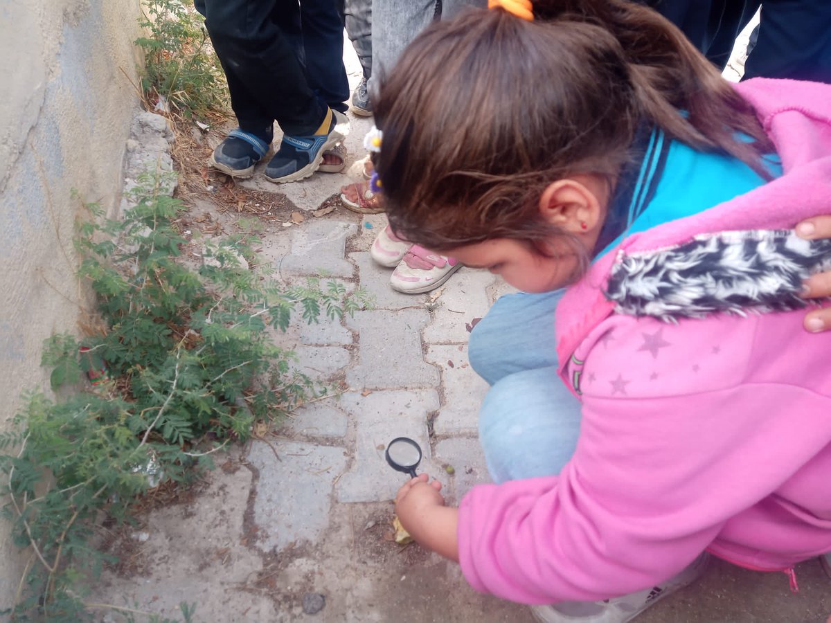 ANTAKYA BOHŞİN İLKOKULU (@antakyabohsin) on Twitter photo 2/F Sınıfı bitki ve hayvanları inceliyor 👁️🐜🎋🌿🪳🔬<a href="/hataymem/">Hatay İl Millî Eğitim Müdürlüğü</a> <a href="/ANTAKYAMEM/">ANTAKYA İLÇE MİLLİ EĞİTİM MÜDÜRLÜĞÜ</a> <a href="/AhmetTecimen/">Ahmet Tecimen</a> 2/F Sınıfı bitki ve hayvanları inceliyor 👁️🐜🎋🌿🪳🔬<a href="/hataymem/">Hatay İl Millî Eğitim Müdürlüğü</a> <a href="/ANTAKYAMEM/">ANTAKYA İLÇE MİLLİ EĞİTİM MÜDÜRLÜĞÜ</a> <a href="/AhmetTecimen/">Ahmet Tecimen</a>