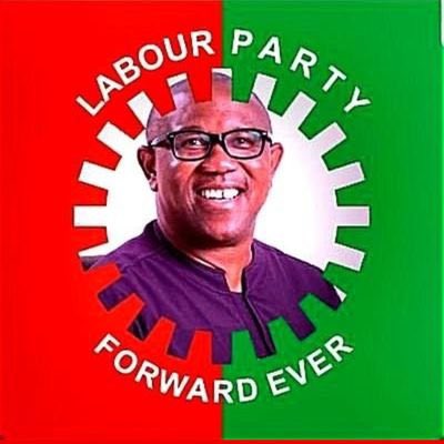 The polling units are our February and March 2023 protest grounds and our PVCs are the placards.
We will vote the person that will not use tear gas on us.
#PeterObiForPresident2023