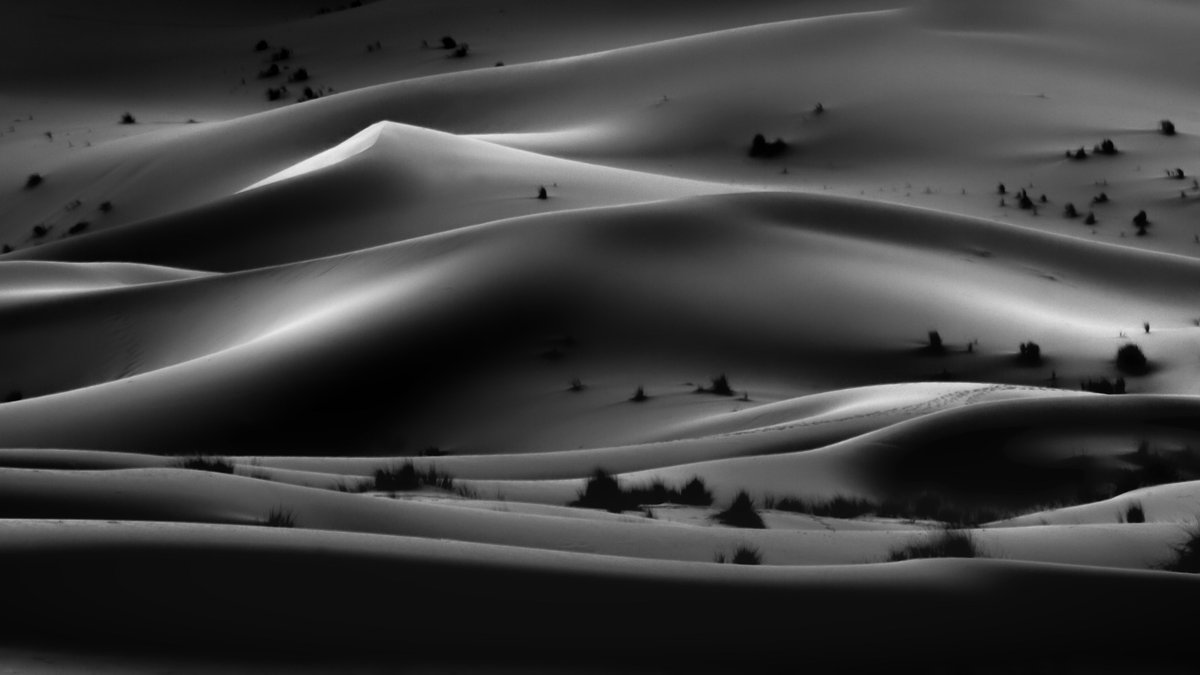 SOLD 🚀🚀

My work 'Mystery of Sahara' on #Tezos blockchain was collected by <a href="/FluffheadChaser/">FluffheadChaser</a>. Thank you so much for your great support. You add value to my work ❤️❤️

Link in below comment 👇